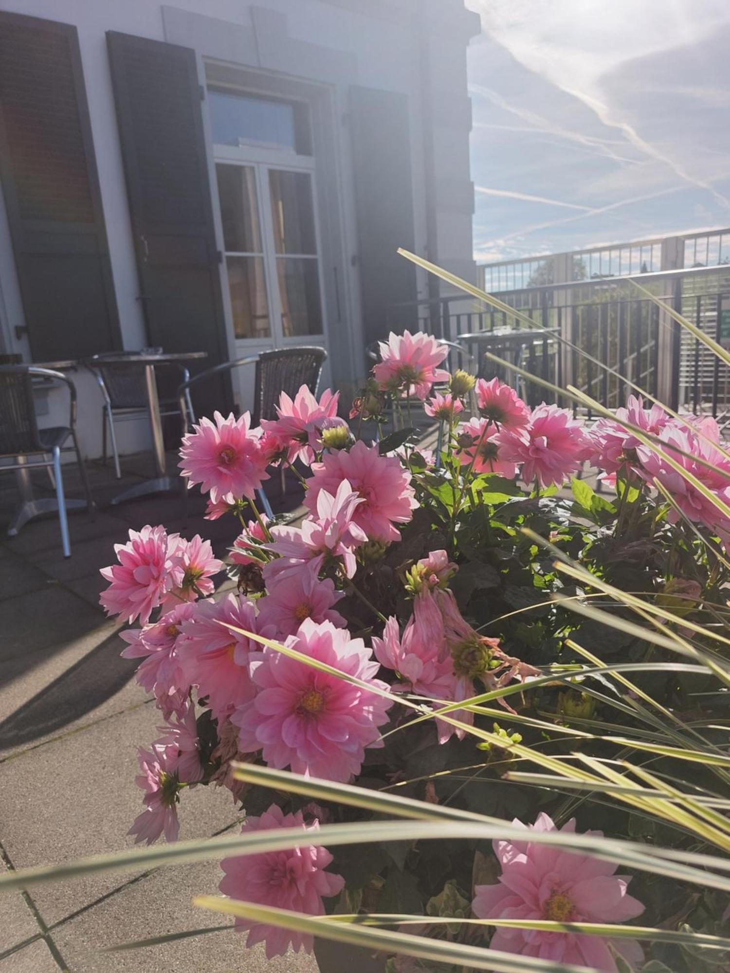 Hotel Le Funi De Cossonay ภายนอก รูปภาพ